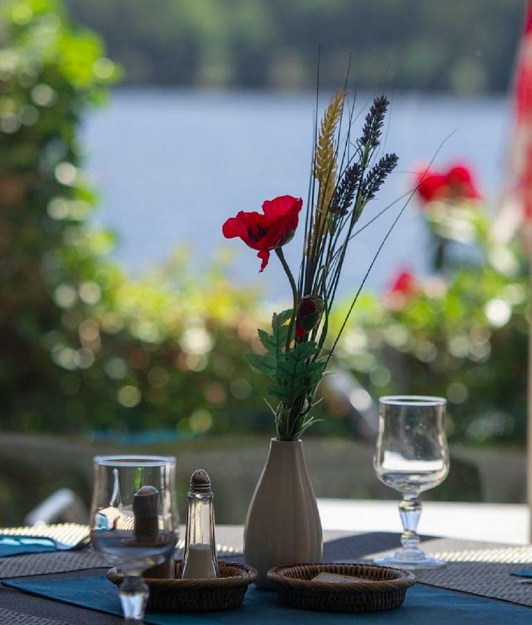 Logis Hotel Du Lac Neuvic  ภายนอก รูปภาพ